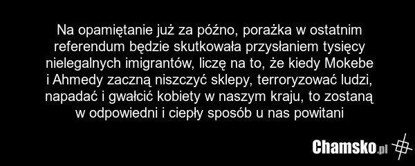 Na opamiętanie już za późno, porażka w ostatnim referendum będzie skutkowała przysłaniem tysięcy nielegalnych imigrantów, liczę na to, że kiedy Mokebe i Ahmedy zaczną niszczyć sklepy, terroryzować ludzi, napadać i gwałcić kobiety w naszym kraju, to zostaną w odpowiedni i ciepły sposób u nas powitani