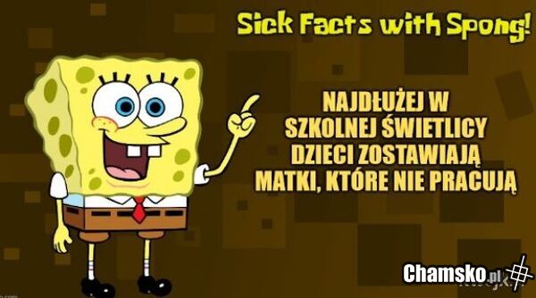 Muszą mieć czas na opie***lanie kiełbach, aż biały dym papierosa na balkonie obwieści nadejście kolejnego 'tatusia'.
