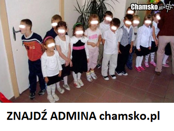 admin chamsko.pl