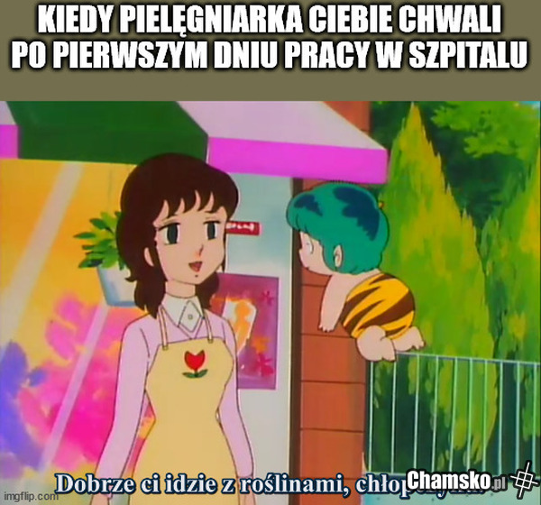 Roślinki