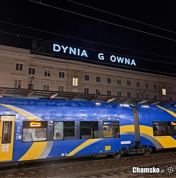 Dynia