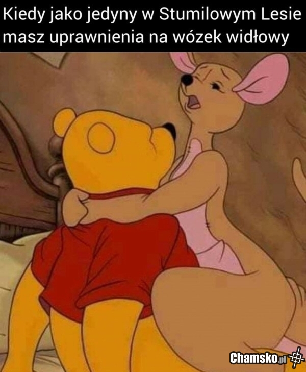 Uprawnienia