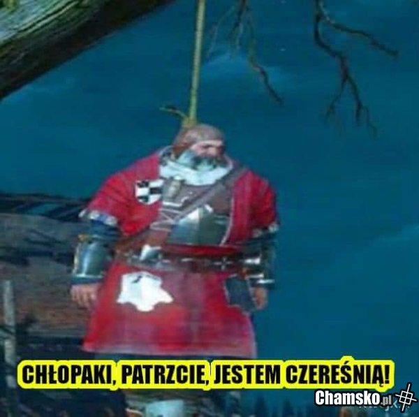 Czereśnia