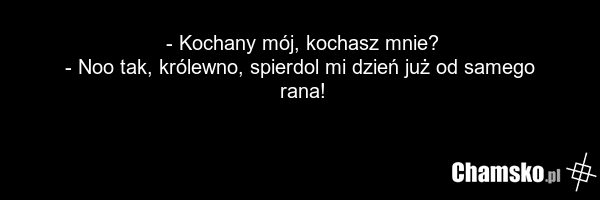 - Kochany mój, kochasz mnie? - Noo tak, królewno, spierdol mi dzień już od samego rana!