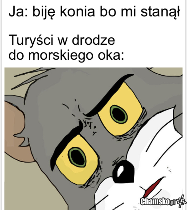 Bicie konia
