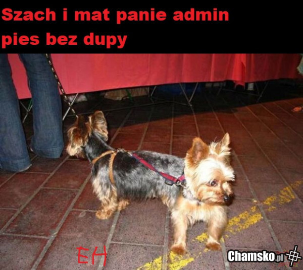 Szach mat adminie!
