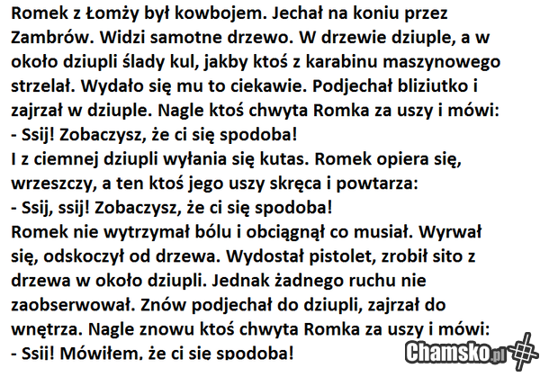 Przygody Romka z Łomży