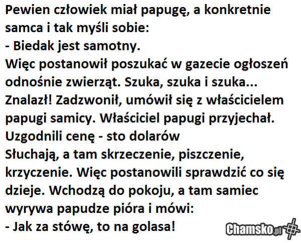 ruchanie po żydowsku