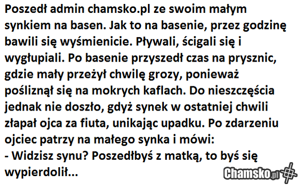admin chamsko.pl