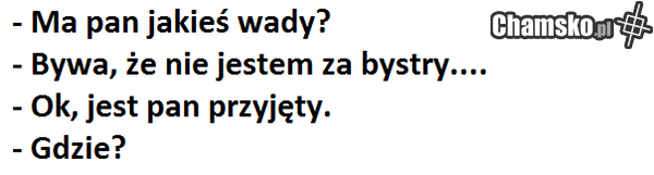Rozmowa o pracę
