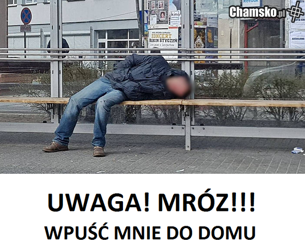 twój stary