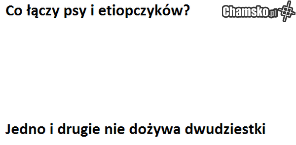 Co łączy?