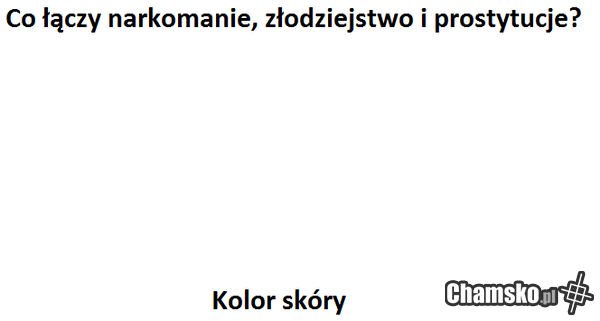 twoja stara za 20 zł