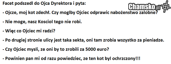 MÓJ IDOL