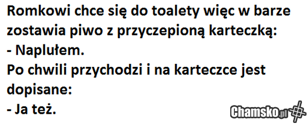 Przygody Romka z Łomży