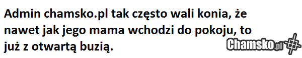 admin chamsko.pl