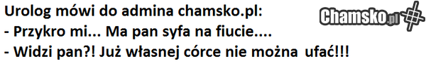 admin chamsko.pl