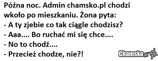 admin chamsko.pl