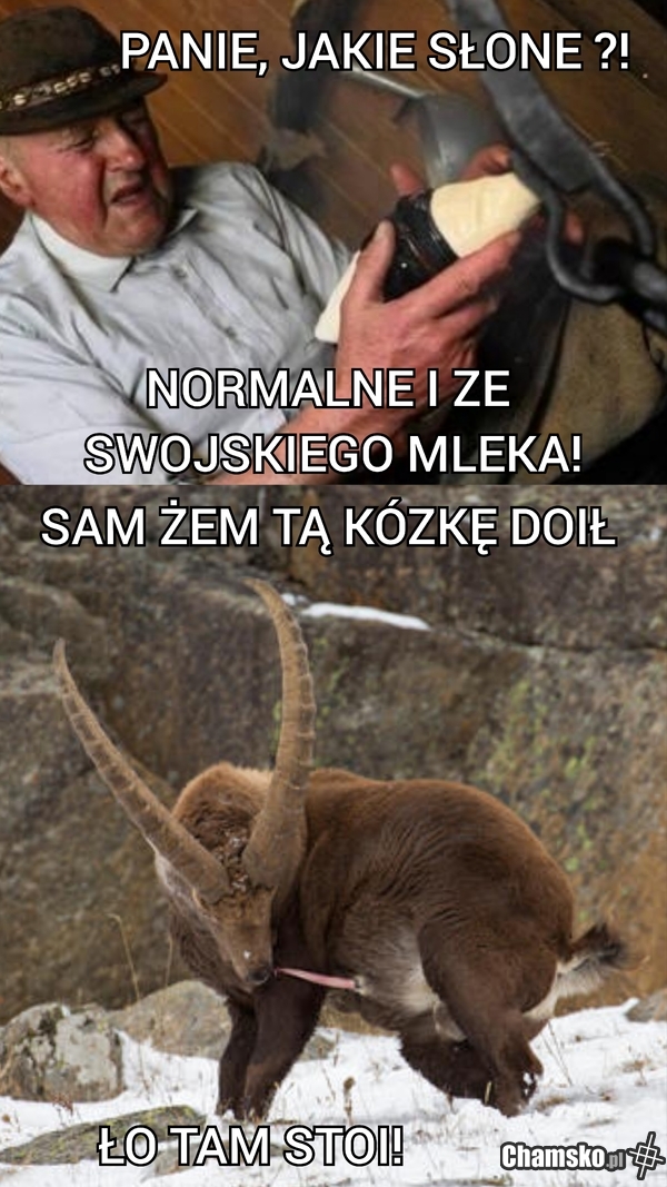 Oscypek