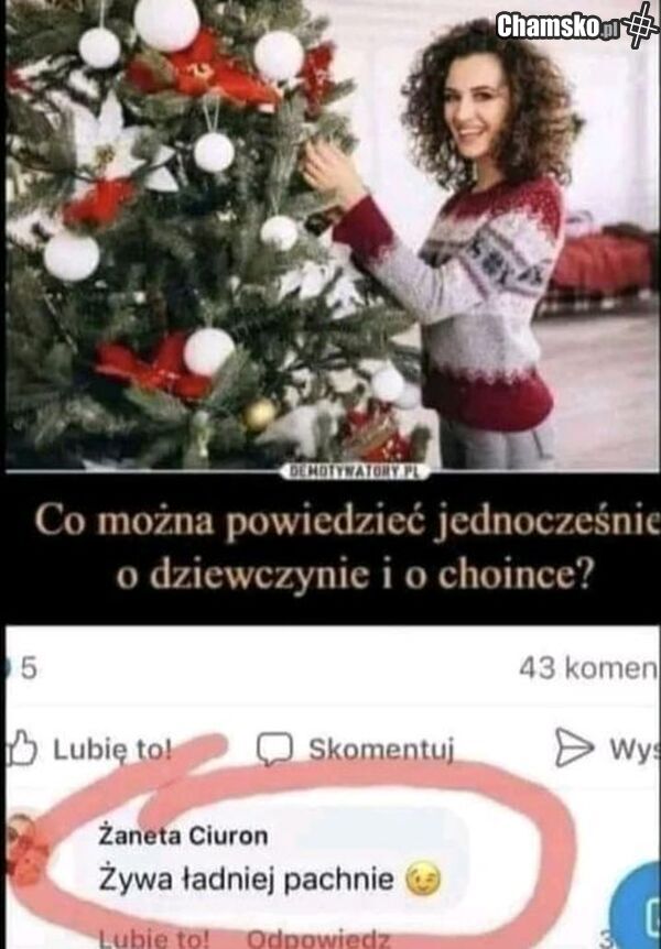 Co można powiedzieć o dziewczynie i choince?