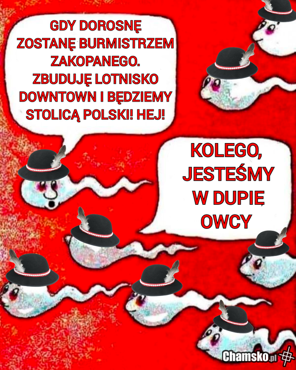 Chamskie Obrazki Czarny Humor