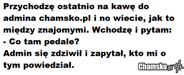 admin chamsko.pl