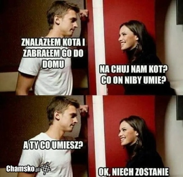 Kot
