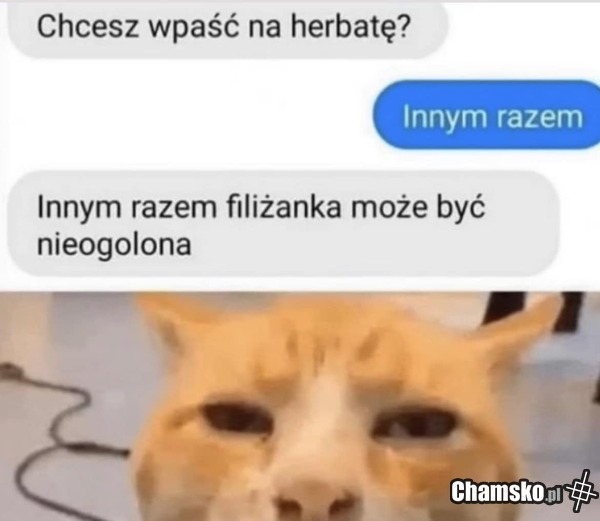 Herbata