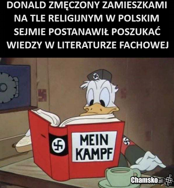 Donald Ostateczne Rozwiązanie