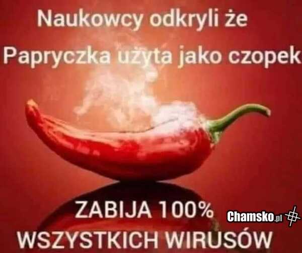 Protip