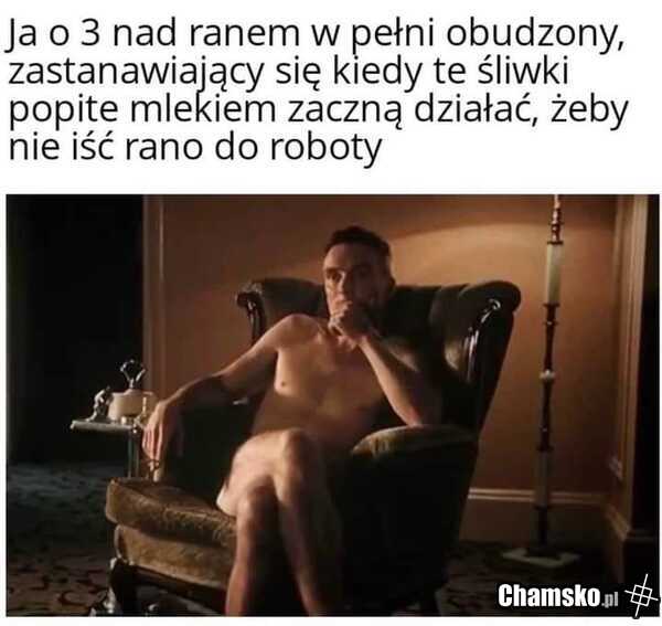 Śliwki i mleko