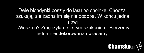 Dwie blondynki poszły do lasu po choinkę. Chodzą, szukają, ale żadna im się nie podoba. W końcu jedna mówi: - Wiesz co? Zmęczyłam się tym szukaniem. Bierzemy jedna nieudekorowaną i wracamy.