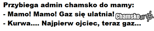 admin chamsko.pl