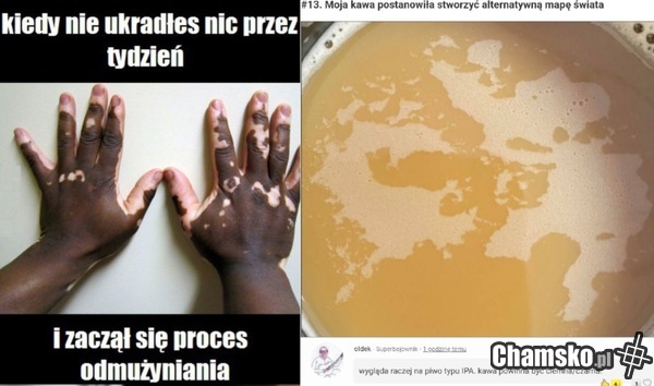 Kawa nie kradnie