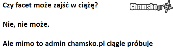 admin chamsko.pl