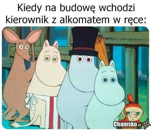 Testowanie