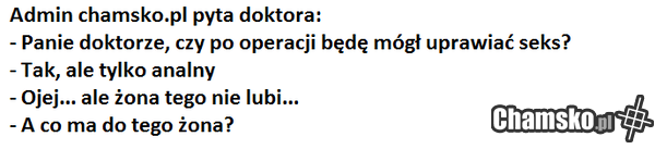admin chamsko.pl