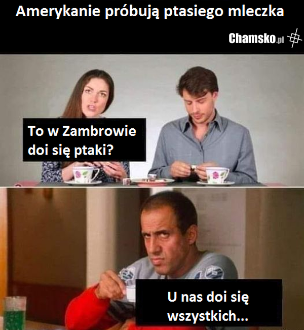 Przygody Wieśka z Zambrowa