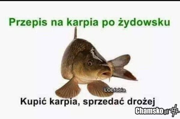 Karp