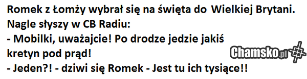 Przygody Romka z Łomży