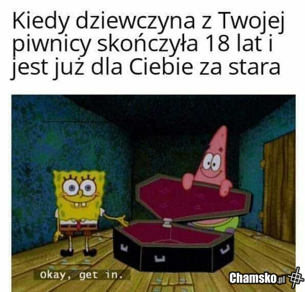 Elo