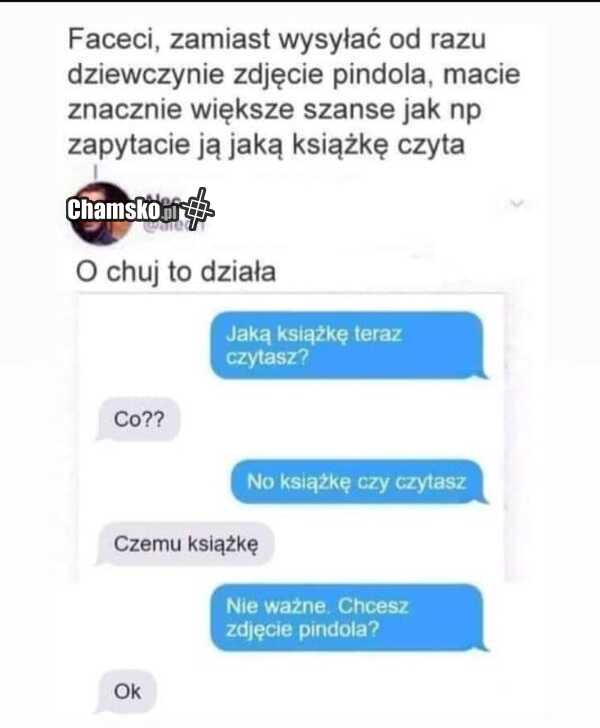 Zdjęcie pindola