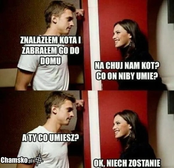 Kot