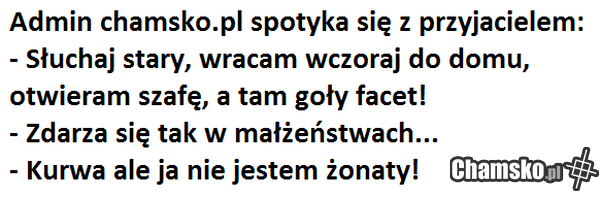 admin chamsko.pl