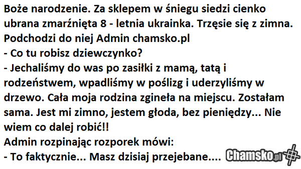 admin chamsko.pl
