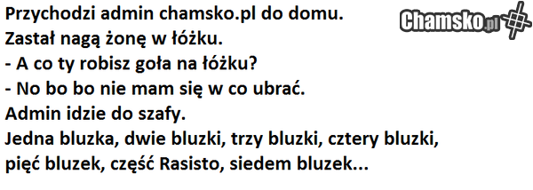 admin chamsko.pl