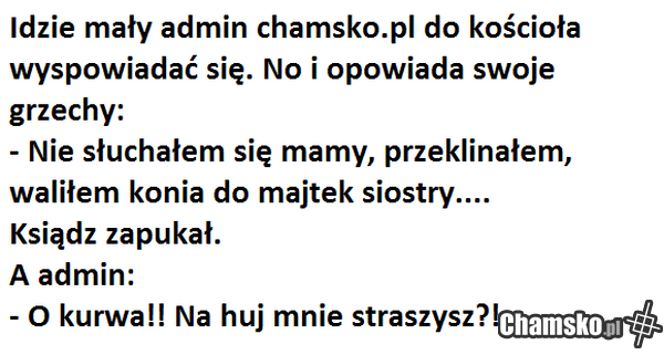 admin chamsko.pl