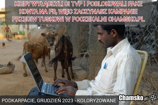 Te memy śmieszą tylko Twoją starą zjebie