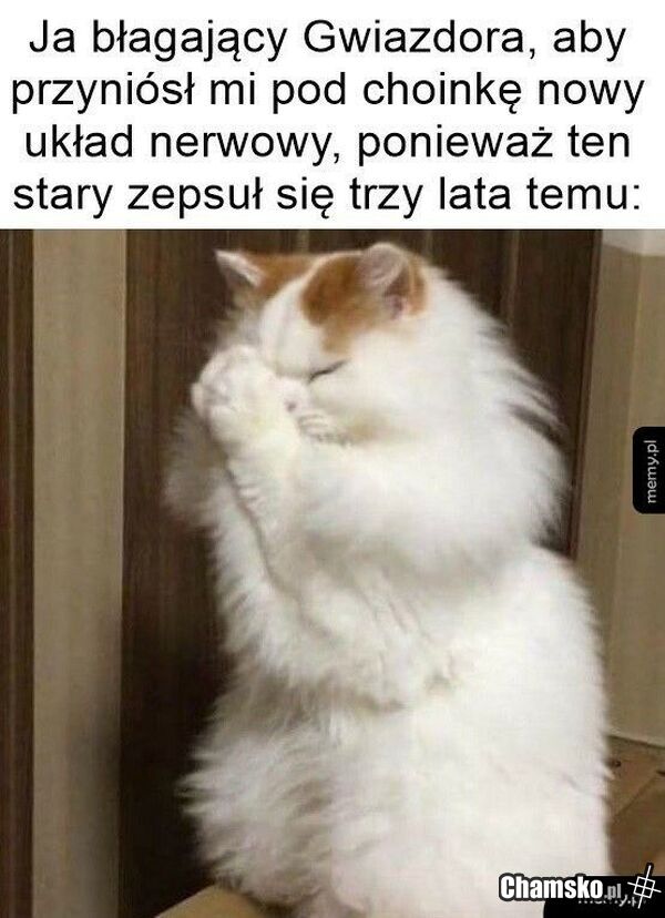 AMENT