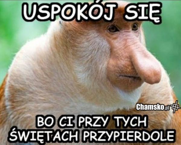 Uspokój się